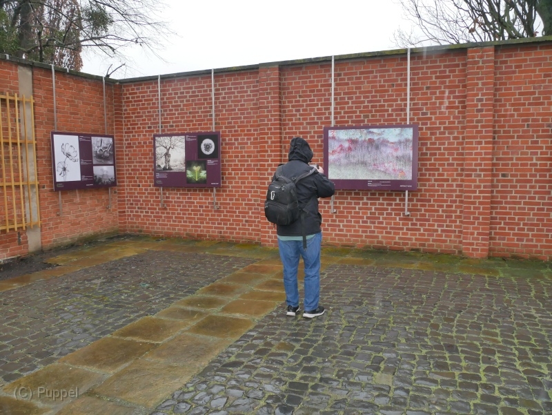 P2070854.JPG