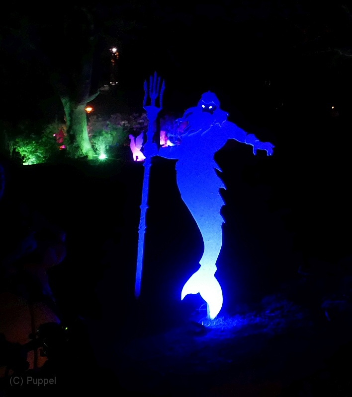 P2270687a.jpg