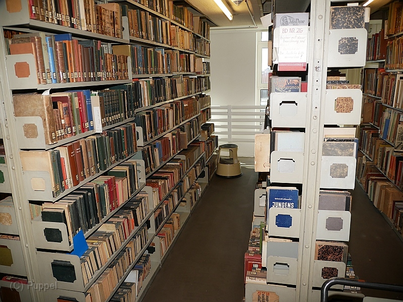 P2260719.JPG