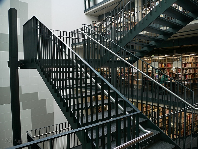 P2260739.JPG