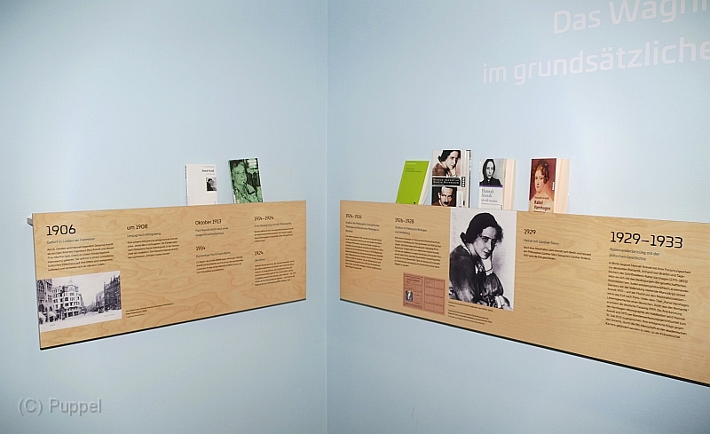 P2260762a.jpg