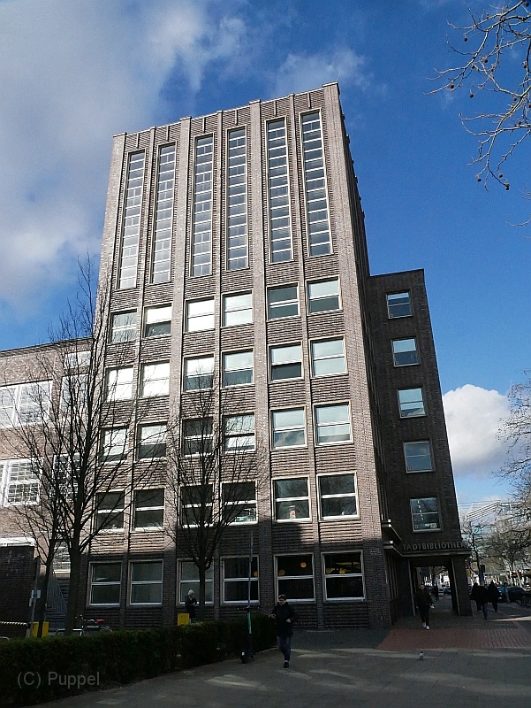 P2260831a.jpg