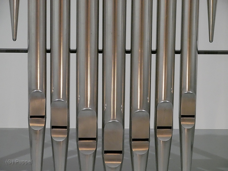 P2280877.JPG