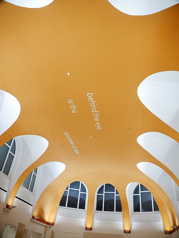 T-20220225-202920-P2340141-gx1.JPG