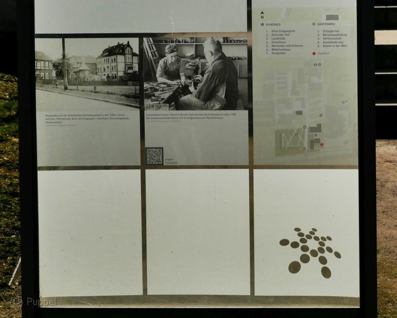P2420544a-2.jpg
