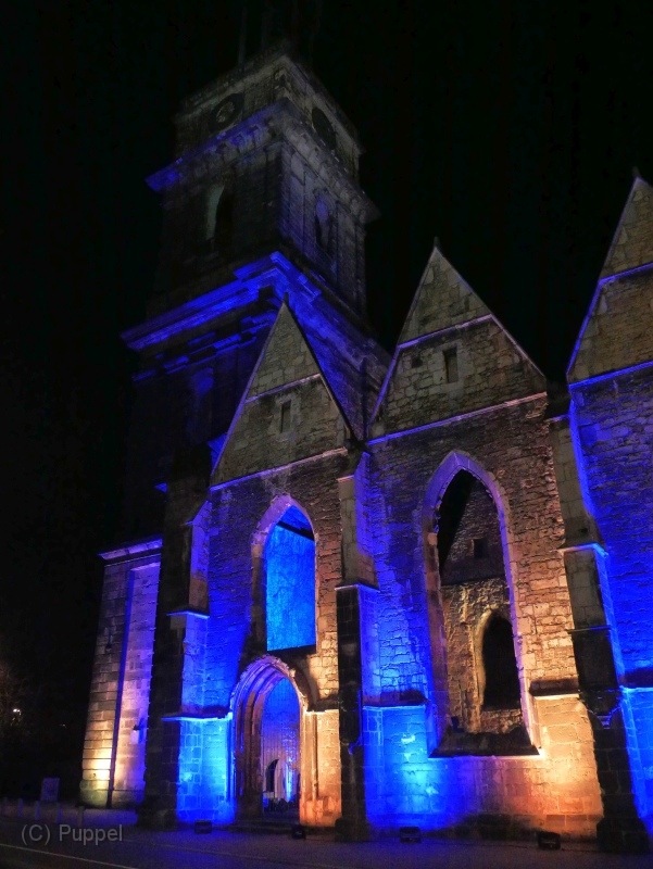 T-20220313-200355-P2650764-gx1.JPG