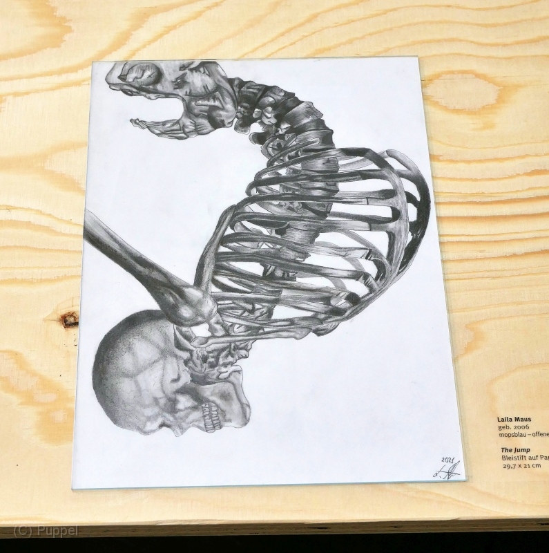 P2610263a.jpg