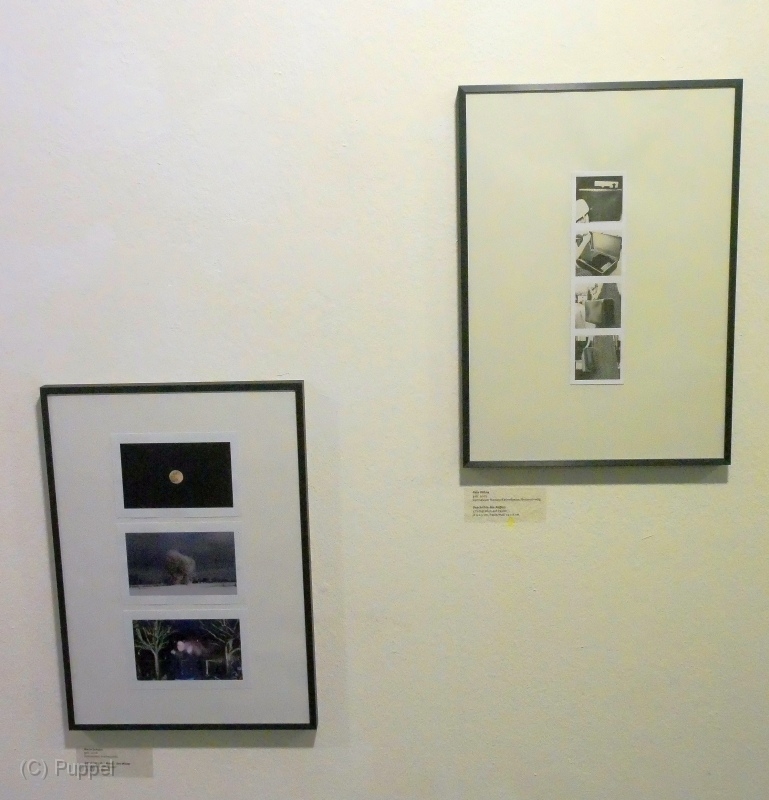 P2620588a.jpg