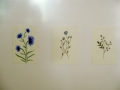 P2620500