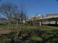 P2900991