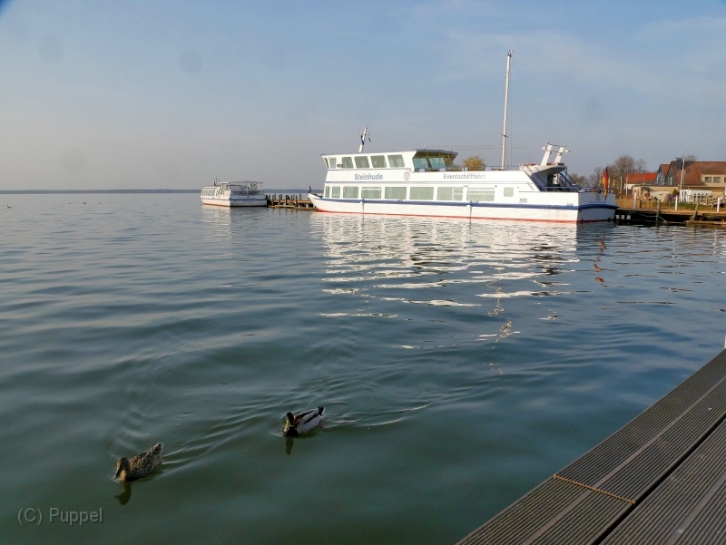 P2930150a.jpg