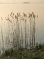 P2930320