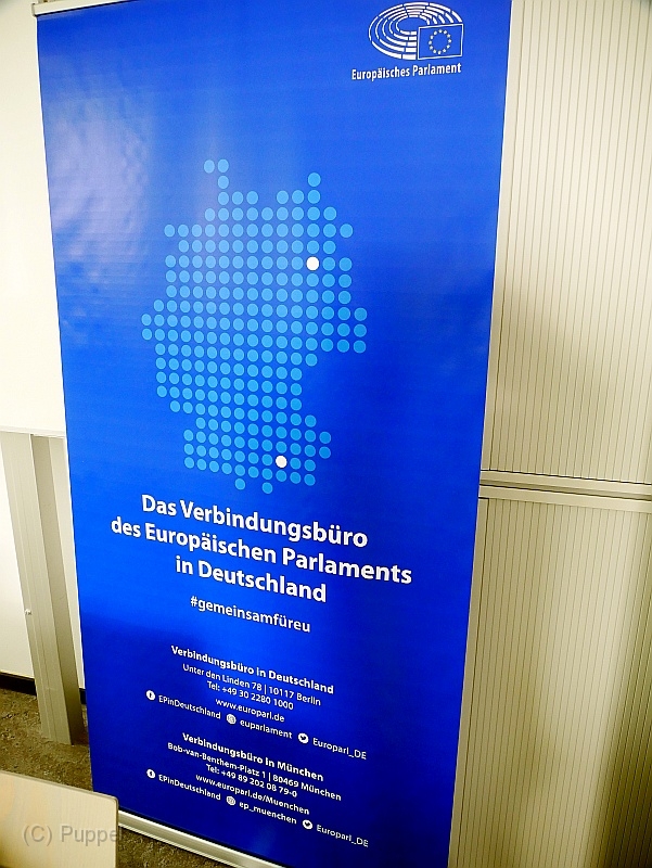 P3130733.JPG
