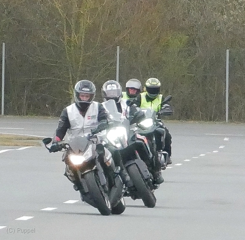 P3180336a.jpg