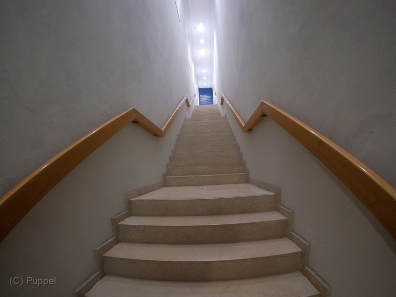 D030_P9450629.JPG