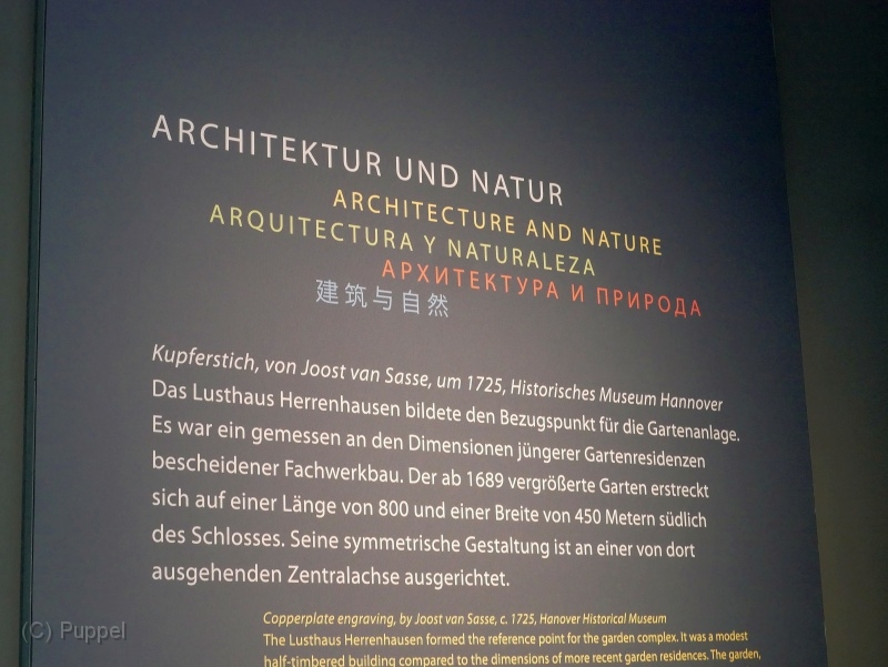 F020-P3180950.JPG
