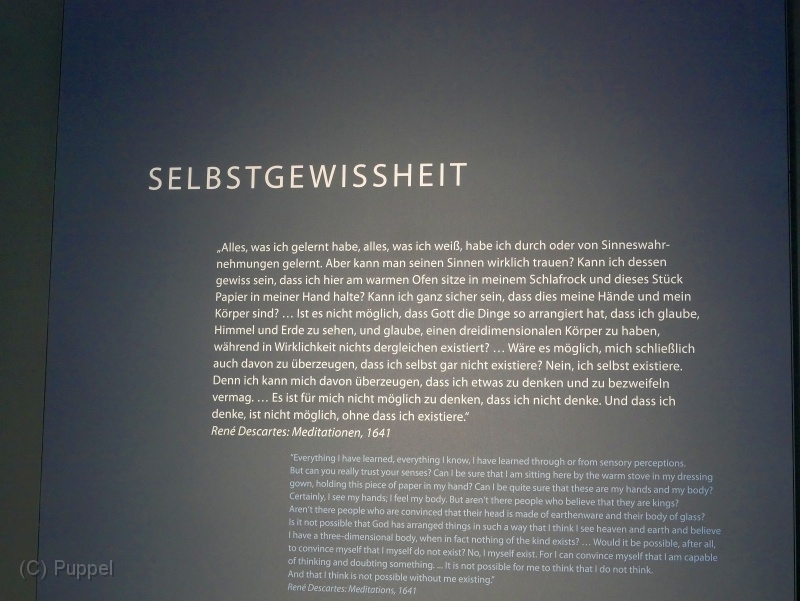 F020-P3180992.JPG