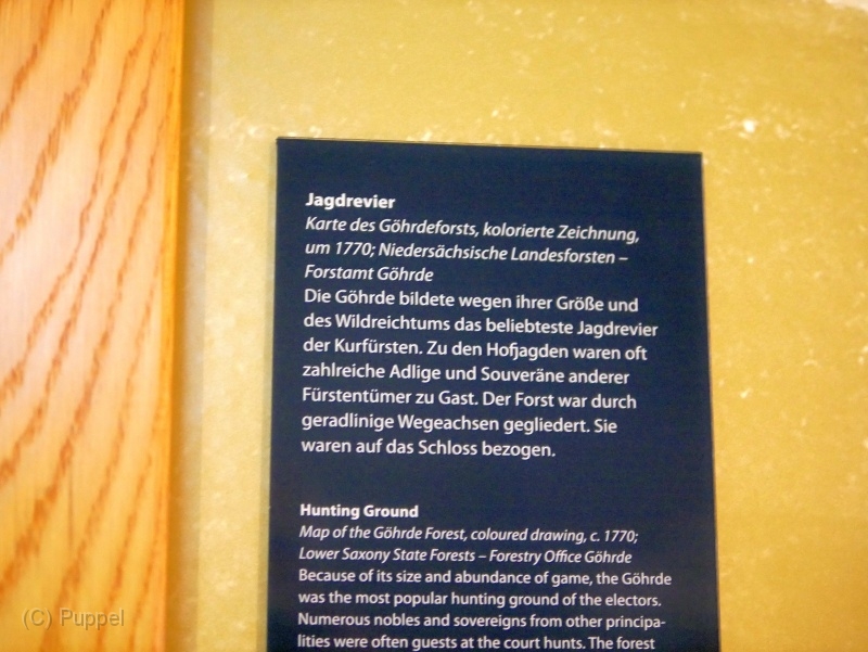 F020-P3190353.JPG