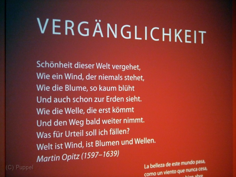 F020-P3190417.JPG