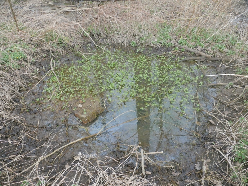JH-P3190875.JPG