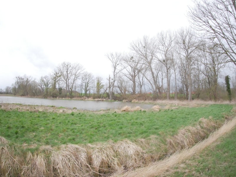K-P9450677.JPG