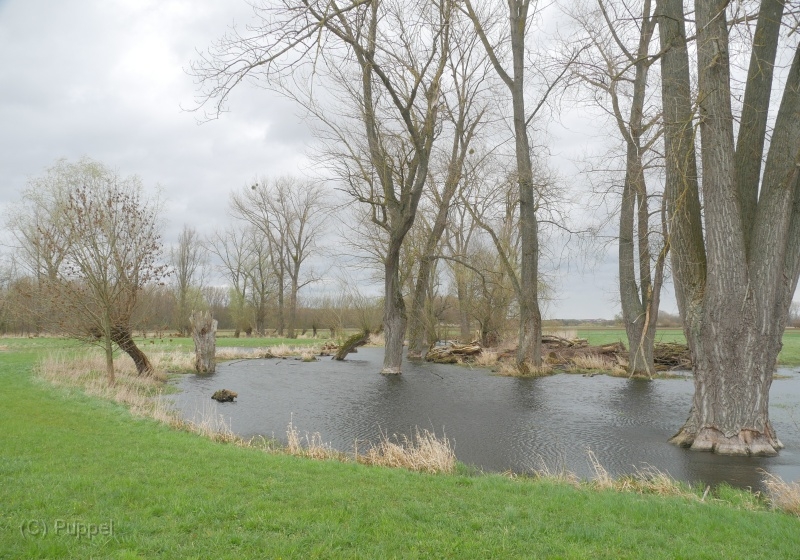 M-P3190674a.jpg
