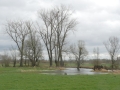M-H-P3190905