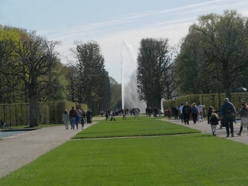 T0710-T-20220417-143442-P3270666-gx1.JPG