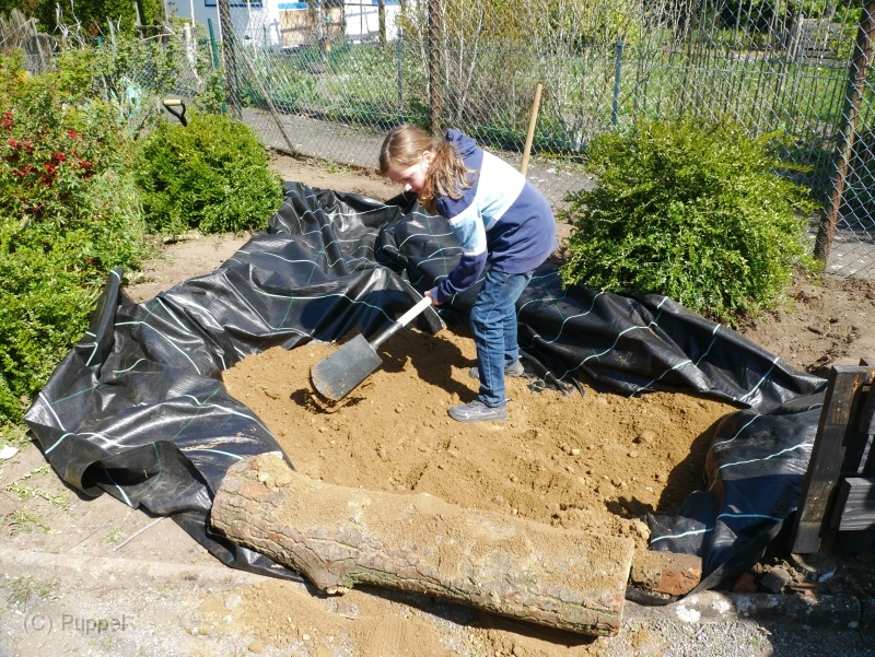 P3560820.JPG