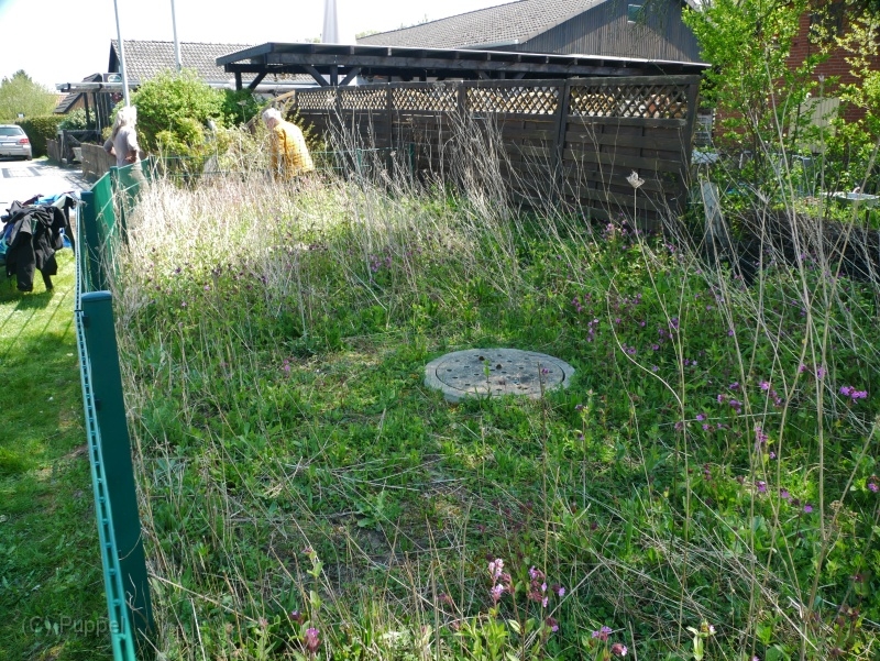 P3560953.JPG