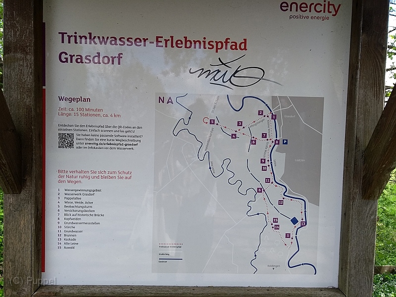 T-20220506_134402611-M6.jpg