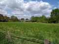 T-20220506_134739306-M6