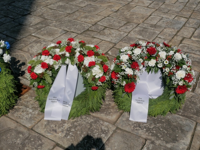 T-20220508-115733-P3900777.JPG