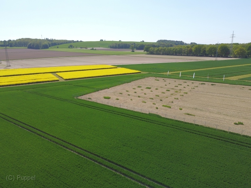 T-20220509-150300-DJI_0837gx1.JPG