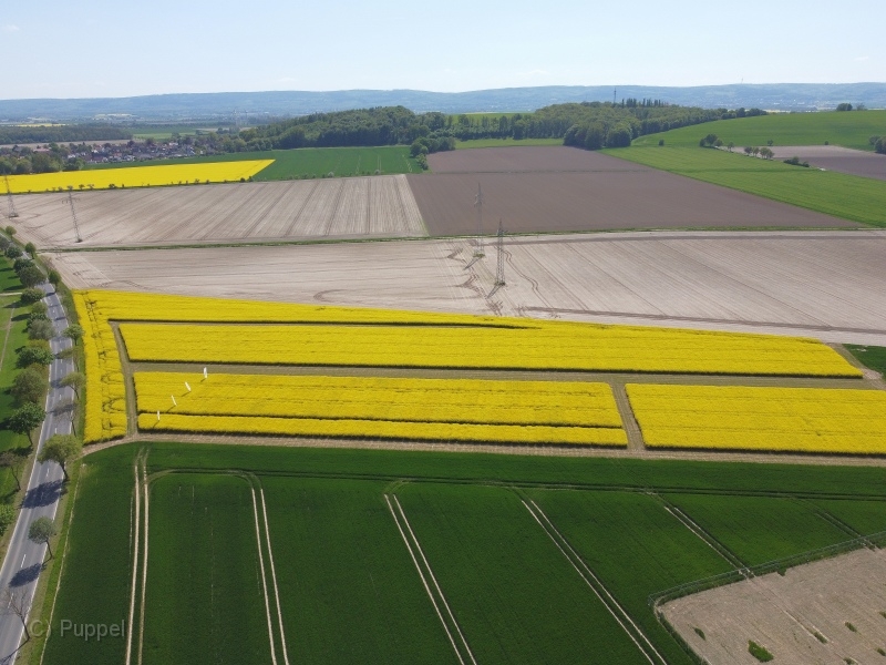 T-20220509-150422-DJI_0845gx1.JPG