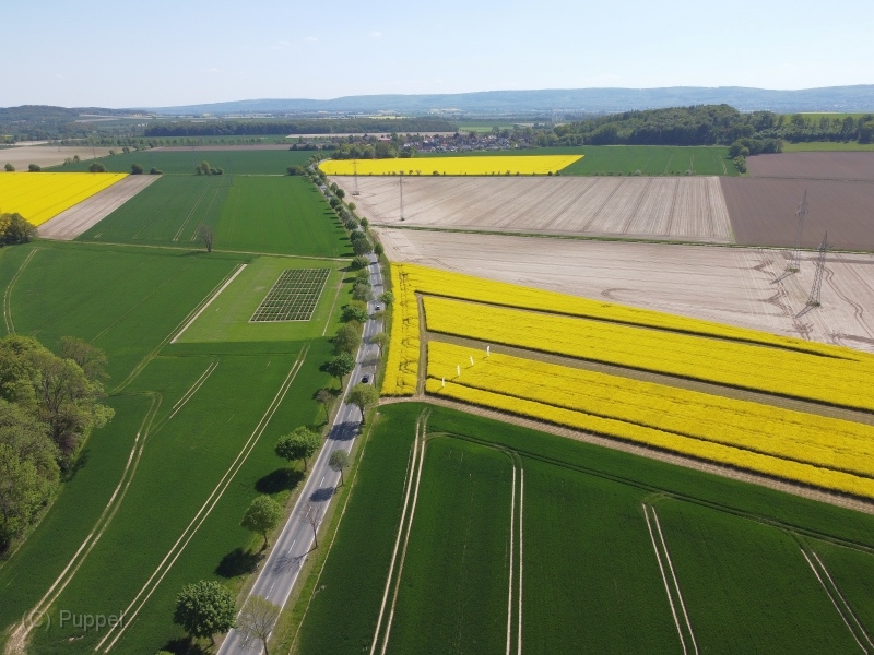 T-20220509-150428-DJI_0847gx1.JPG