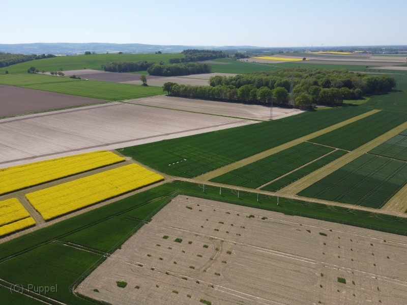 T-20220509-150432-DJI_0848gx1.JPG
