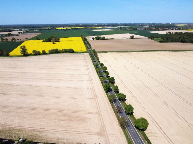 T-20220509-150444-DJI_0851gx1.JPG