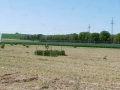 T-20220509-131040-P9700726