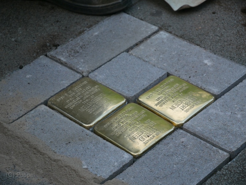 P4180764.JPG