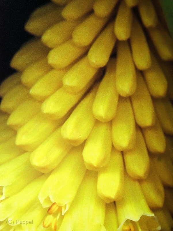 H-T-20220527-121038-P4190271a.jpg