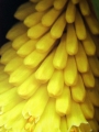 H-T-20220527-121038-P4190271a