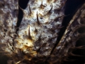 H-T-20220527-121633-P4190296a