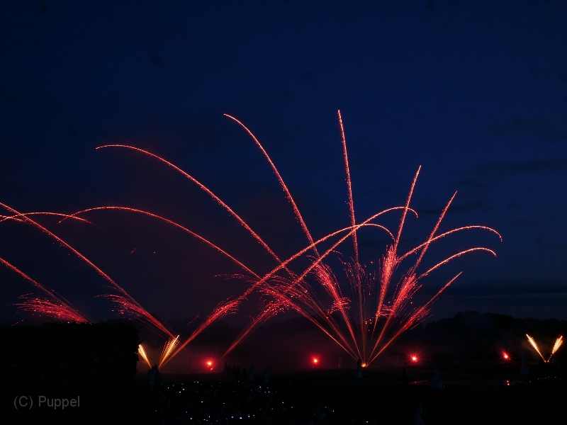 T-20220528-220826-P4310336-gx1.JPG