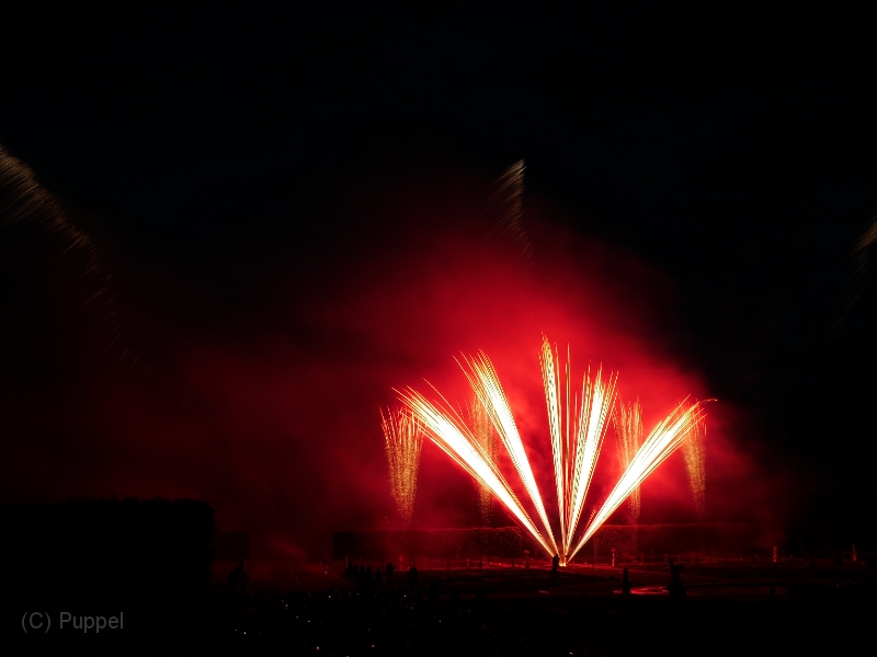 T-20220528-222808-P4310559-gx1.JPG
