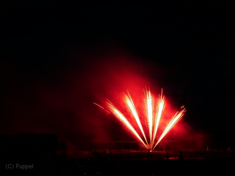 T-20220528-222813-P4310560-gx1.JPG