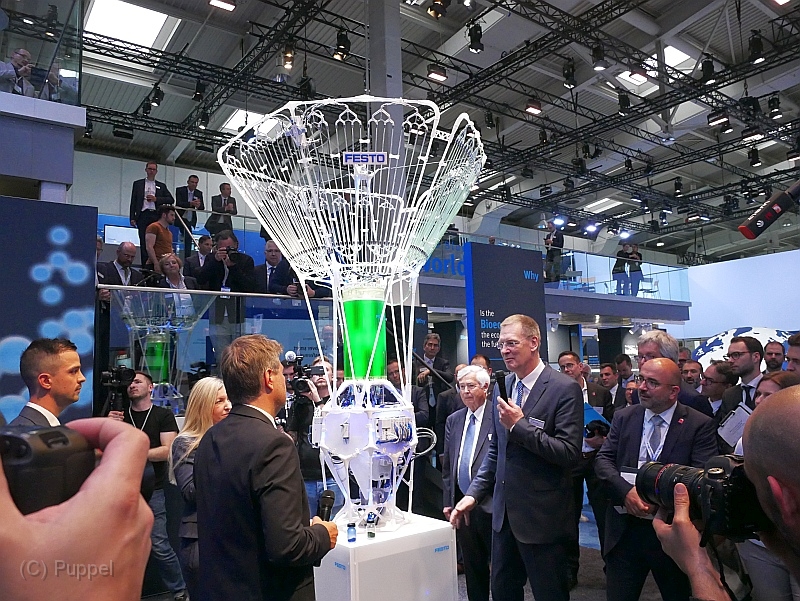T-20220531-170420-P4400108.JPG