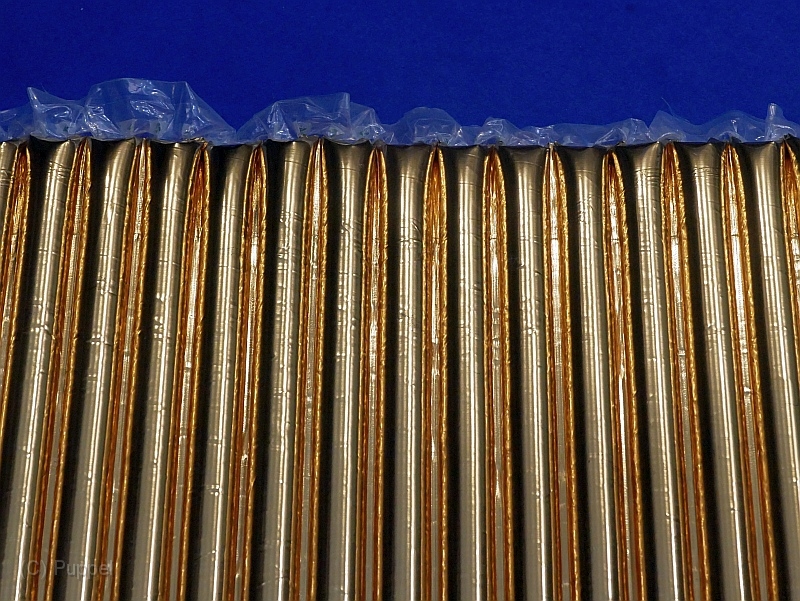 P9810823.JPG
