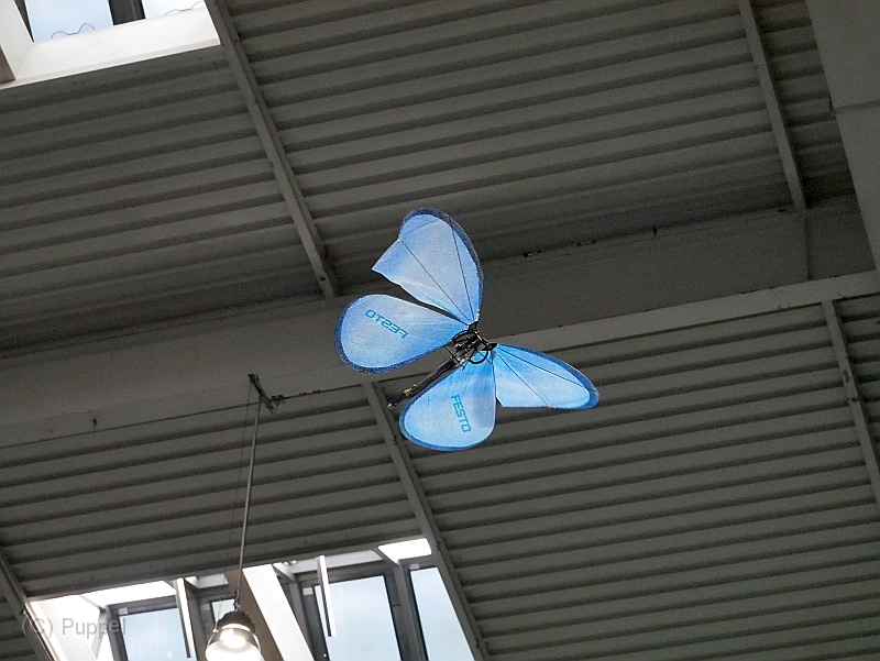 P4410431.JPG