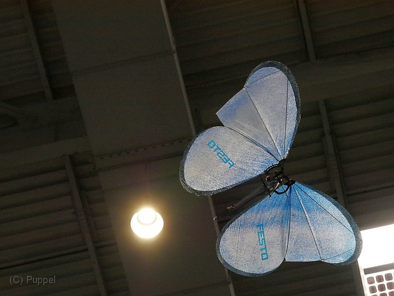 P4410464.JPG